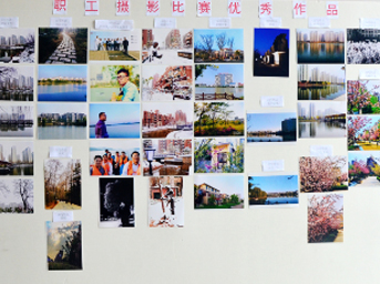 公司組織開展職工攝影比賽活動